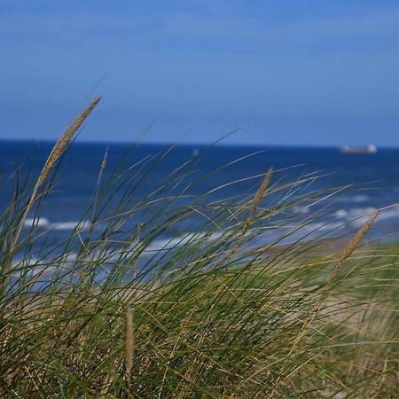 De Blaauboer, Vakantiehuisje Egmond aan Zee Εξωτερικό φωτογραφία
