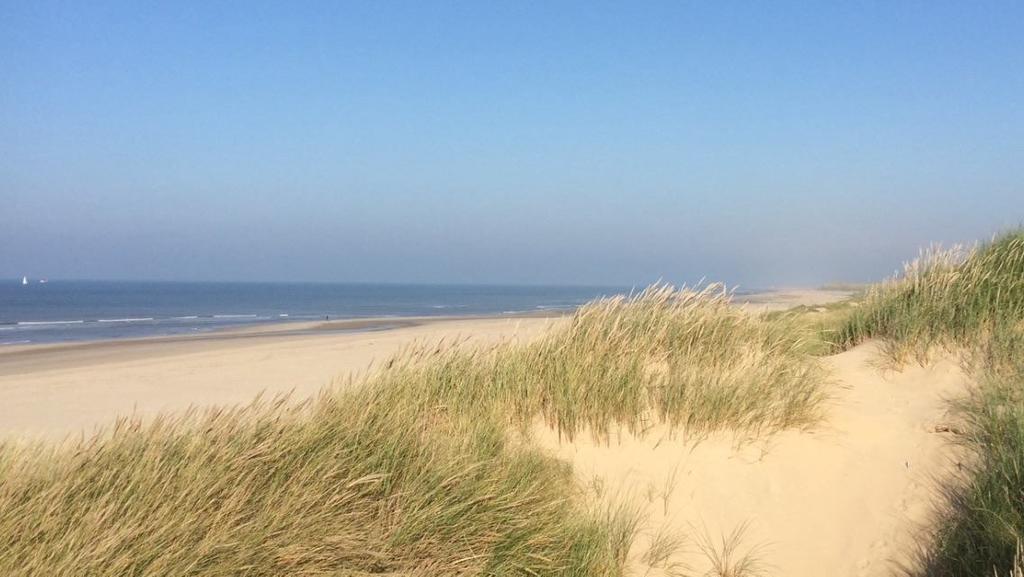 De Blaauboer, Vakantiehuisje Egmond aan Zee Δωμάτιο φωτογραφία
