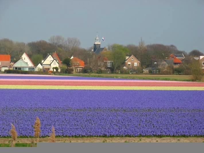 De Blaauboer, Vakantiehuisje Egmond aan Zee Δωμάτιο φωτογραφία