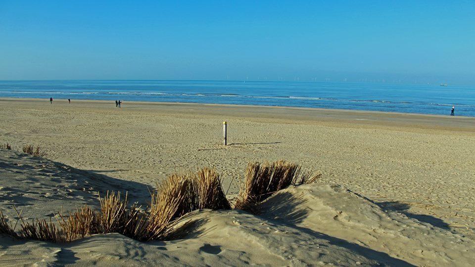 De Blaauboer, Vakantiehuisje Egmond aan Zee Εξωτερικό φωτογραφία