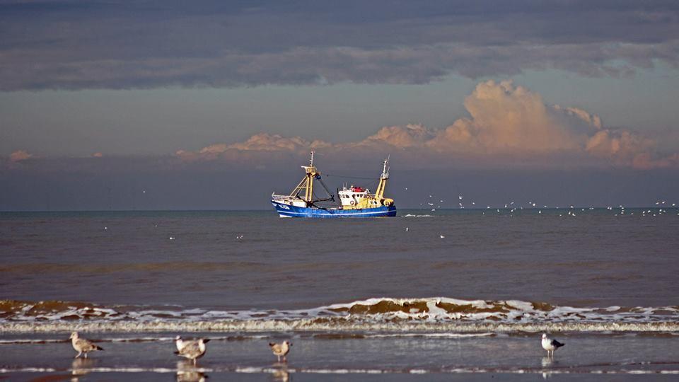 De Blaauboer, Vakantiehuisje Egmond aan Zee Εξωτερικό φωτογραφία