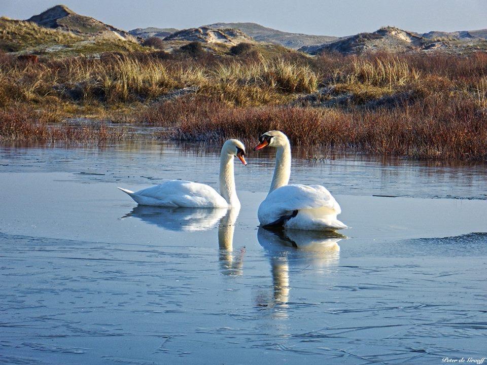 De Blaauboer, Vakantiehuisje Egmond aan Zee Εξωτερικό φωτογραφία