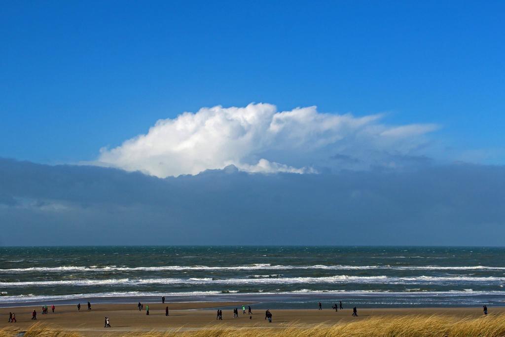 De Blaauboer, Vakantiehuisje Egmond aan Zee Εξωτερικό φωτογραφία
