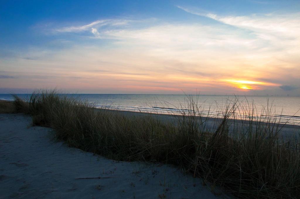 De Blaauboer, Vakantiehuisje Egmond aan Zee Εξωτερικό φωτογραφία