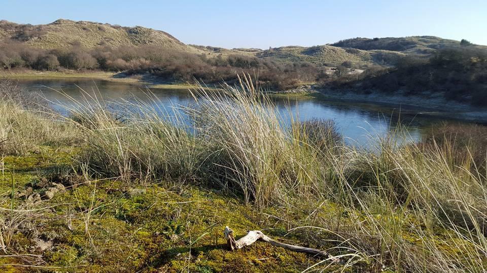 De Blaauboer, Vakantiehuisje Egmond aan Zee Εξωτερικό φωτογραφία