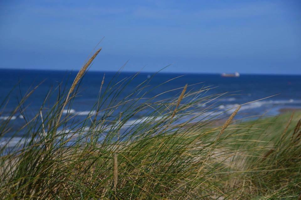 De Blaauboer, Vakantiehuisje Egmond aan Zee Εξωτερικό φωτογραφία